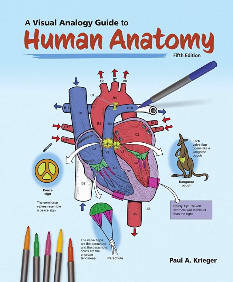 A Visual Analogy Guide To Human Anatomy?