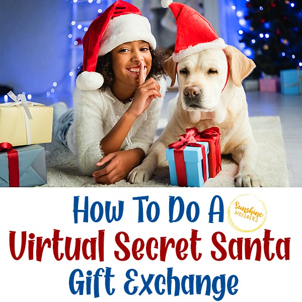 How To Do Secret Santa Virtually?