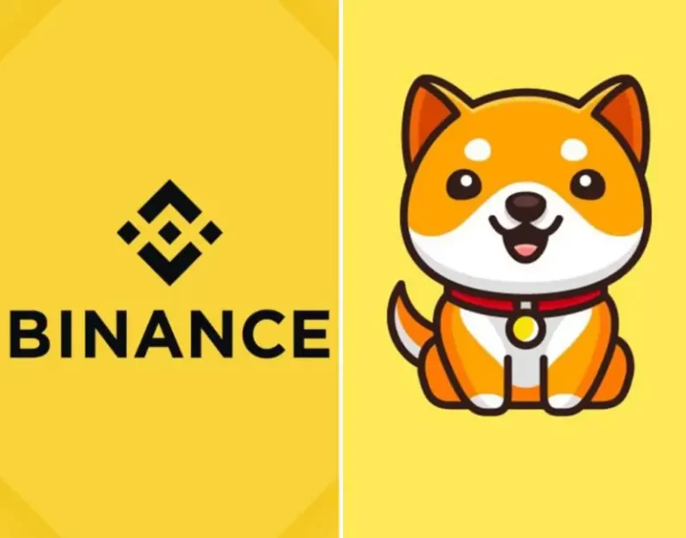 Is Binance Listing Baby Doge?