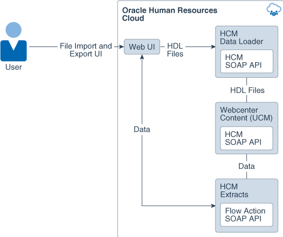 How To Extract Data From Oracle Fusion Cloud?