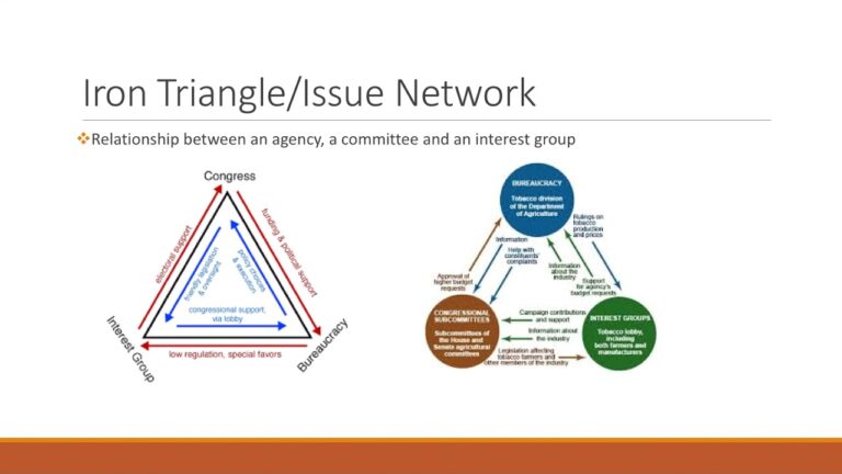 What Is An Issue Network?