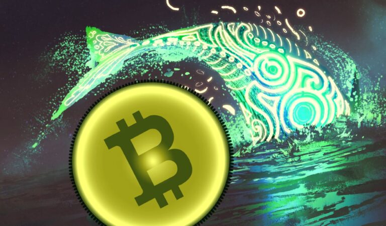 Dormant Crypto Whale Wakes Up, Moves $3,050,000 Worth of Bitcoin (BTC) to Binance