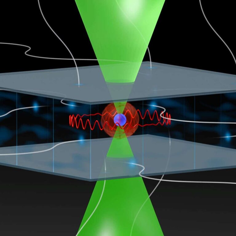 Quantum simulation with circular Rydberg qubits