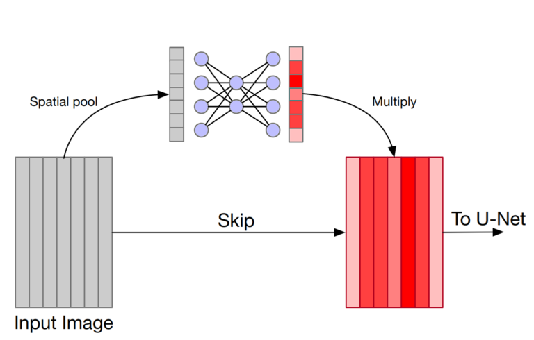 Squeeze and Excite Networks: A Performance Upgrade