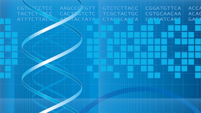 Exploring Sequence Models: From RNNs to Transformers