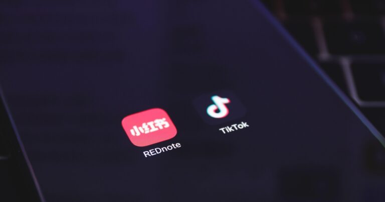 Has the TikTok Ban Already Backfired on US Cybersecurity?