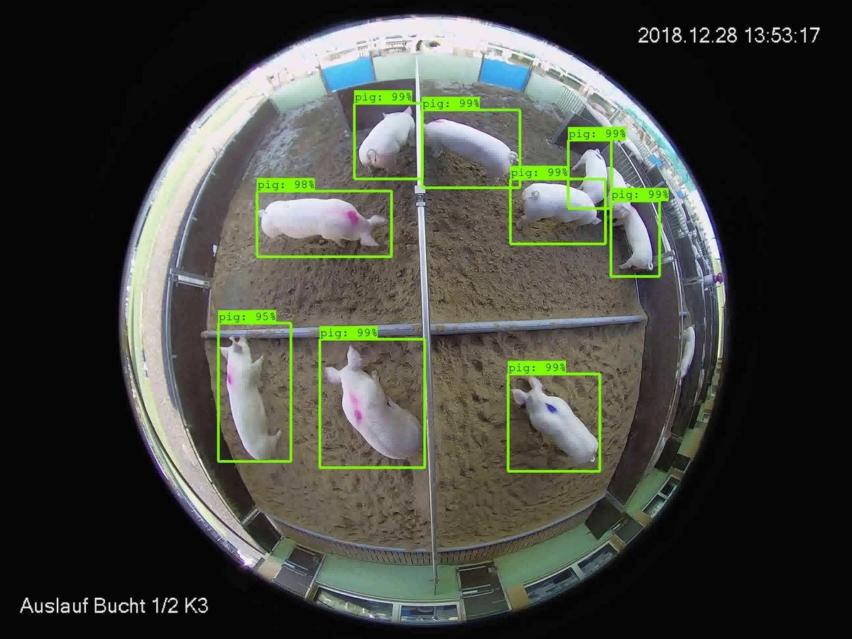 The Best Applications of Computer Vision in Agriculture (2024) - Capa ...