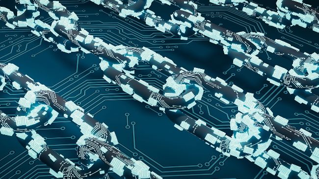 Flora Growth focuses on blockchain: a strategic investment of one million euros