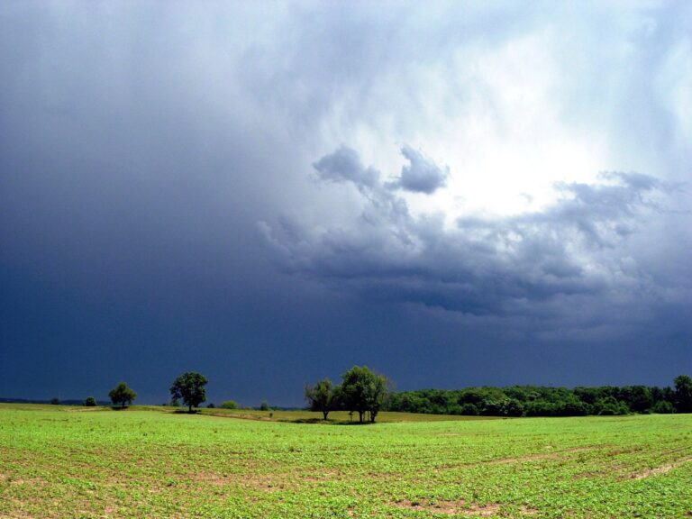 Cloud job cuts as AI bites at AWS and across the industry