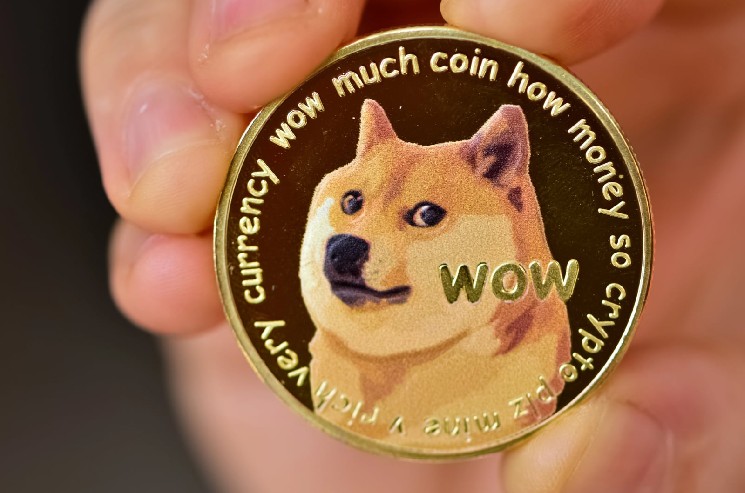 ‘We Made It 300x Faster’: Metallicus CEO Delivers on Elon Musk’s Dogecoin Vision